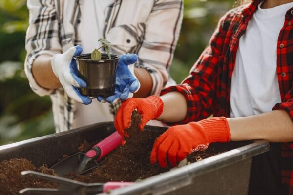 Soluții inteligente pentru economisirea apei în grădină: cum să îngrijești plantele în mod sustenabil