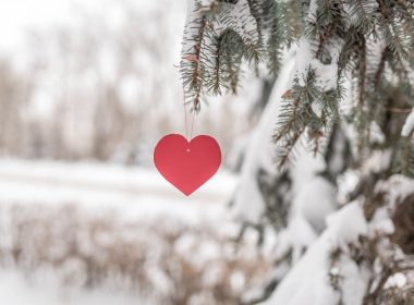 Horoscop februarie