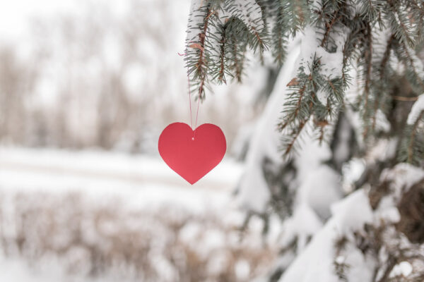 Horoscop februarie
