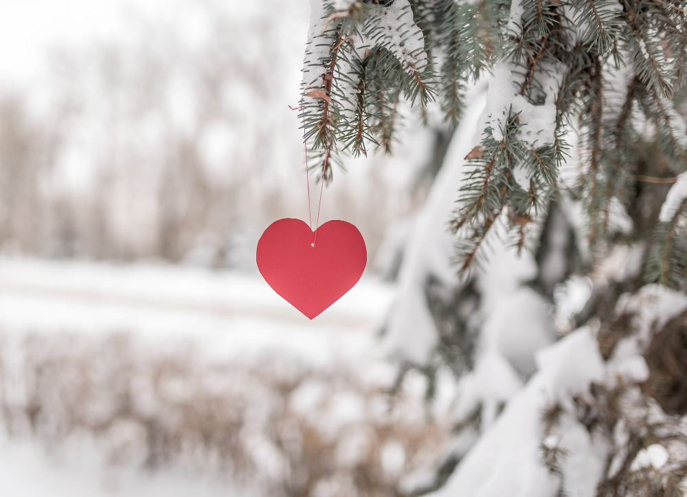 Horoscop februarie