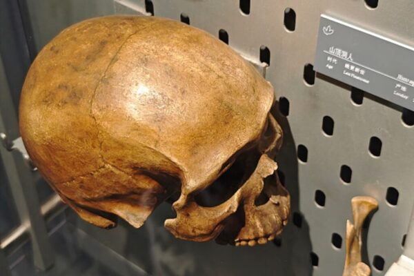 Lovitură în lumea științifică – Homo sapiens nu a apărut în Africa, ci în Asia, cu sute de mii de ani mai devreme